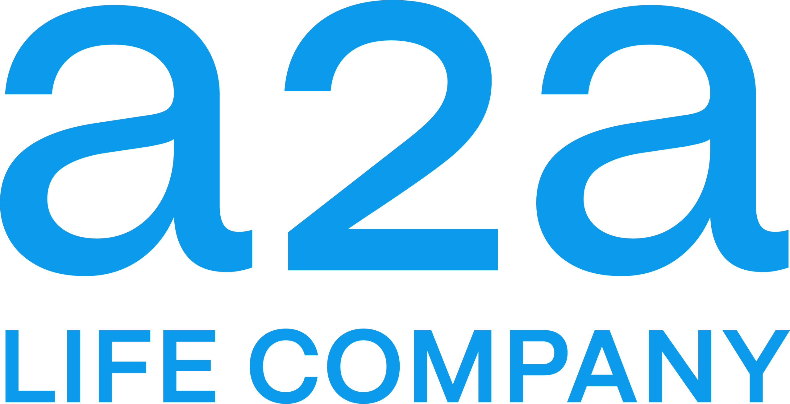 Gruppo A2A : Viaggio nel mondo della transizione energetica e dell’economia circolare